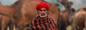 4 Days Golden Triangle Tour